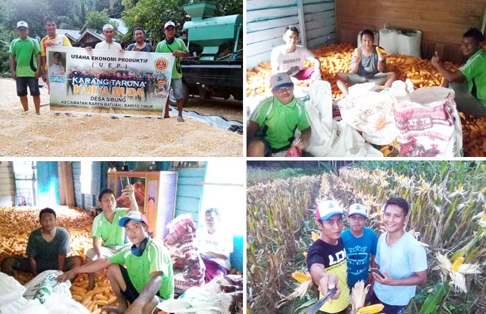 Penyuluh Inisiasi KEP, Sokong Pemuda Tani Suplai Jagung Pakan Ternak